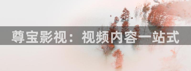 青柠影院免费观看电视剧电影
