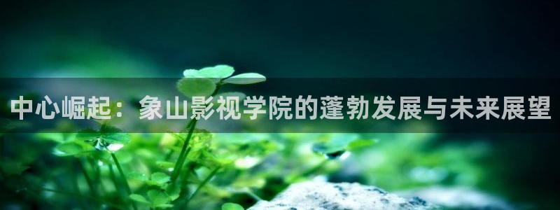青柠影院免费观看电视剧高清最新