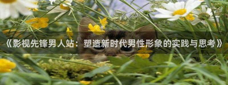 青柠影院手机在线
