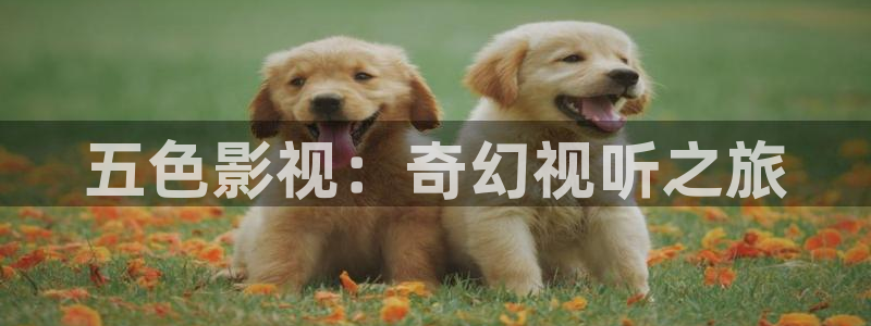 青柠影院免费观看电视剧最新电影