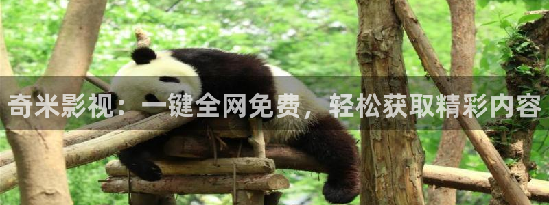 青柠视频在线观看